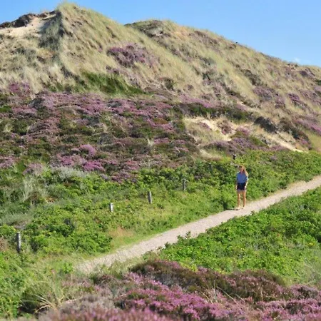 Spatzennest Von Appartements&mehr *