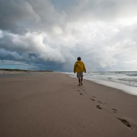 Spatzennest Von Appartements&mehr Apartment